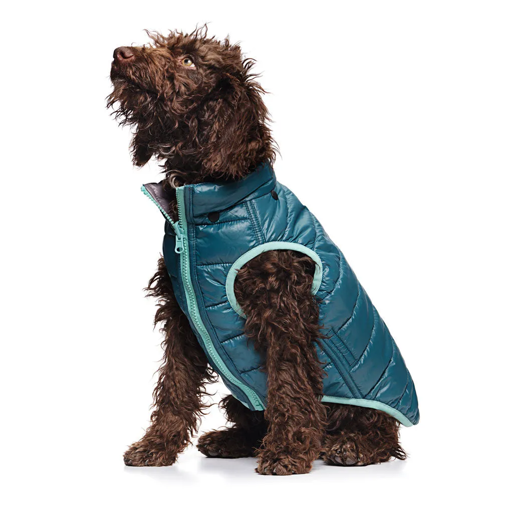 Love Thy Beast Teal &amp; Gray Reversible Puffer Jacket