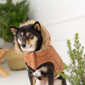 Sherpa-Lined Urban Parka - Caramel. Dog Coat. Water Resistant.